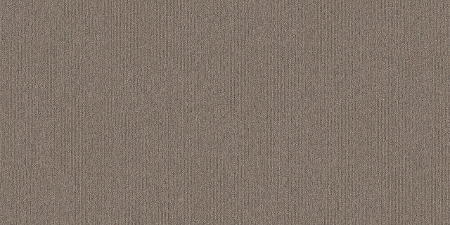 Interface On Line 250mm x 1000mm Carpet Tile