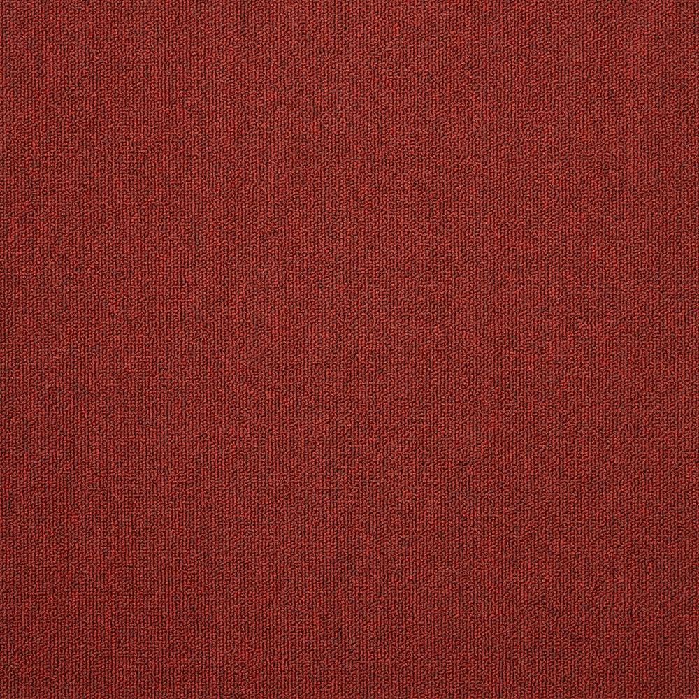 The Floor Hub Dahlia 500mm x 500mm Carpet Tile