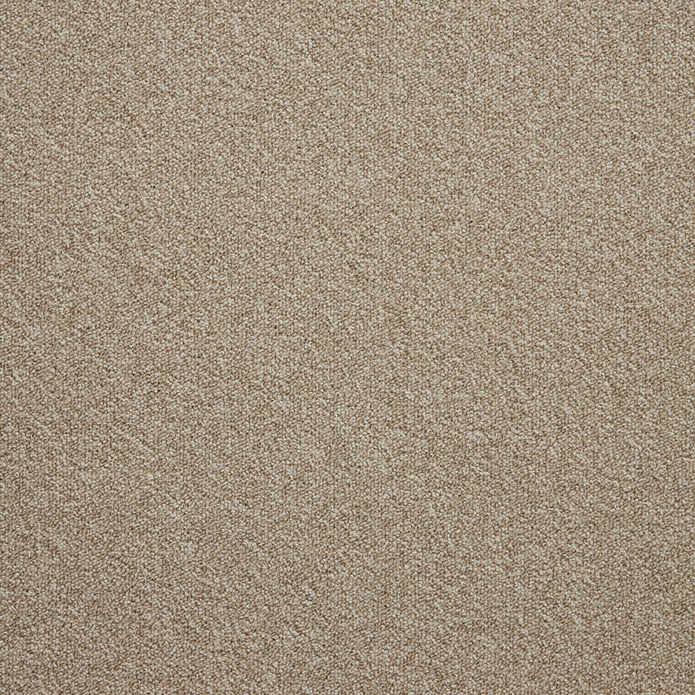 The Floor Hub Expression 500mm x 500mm Carpet Tile