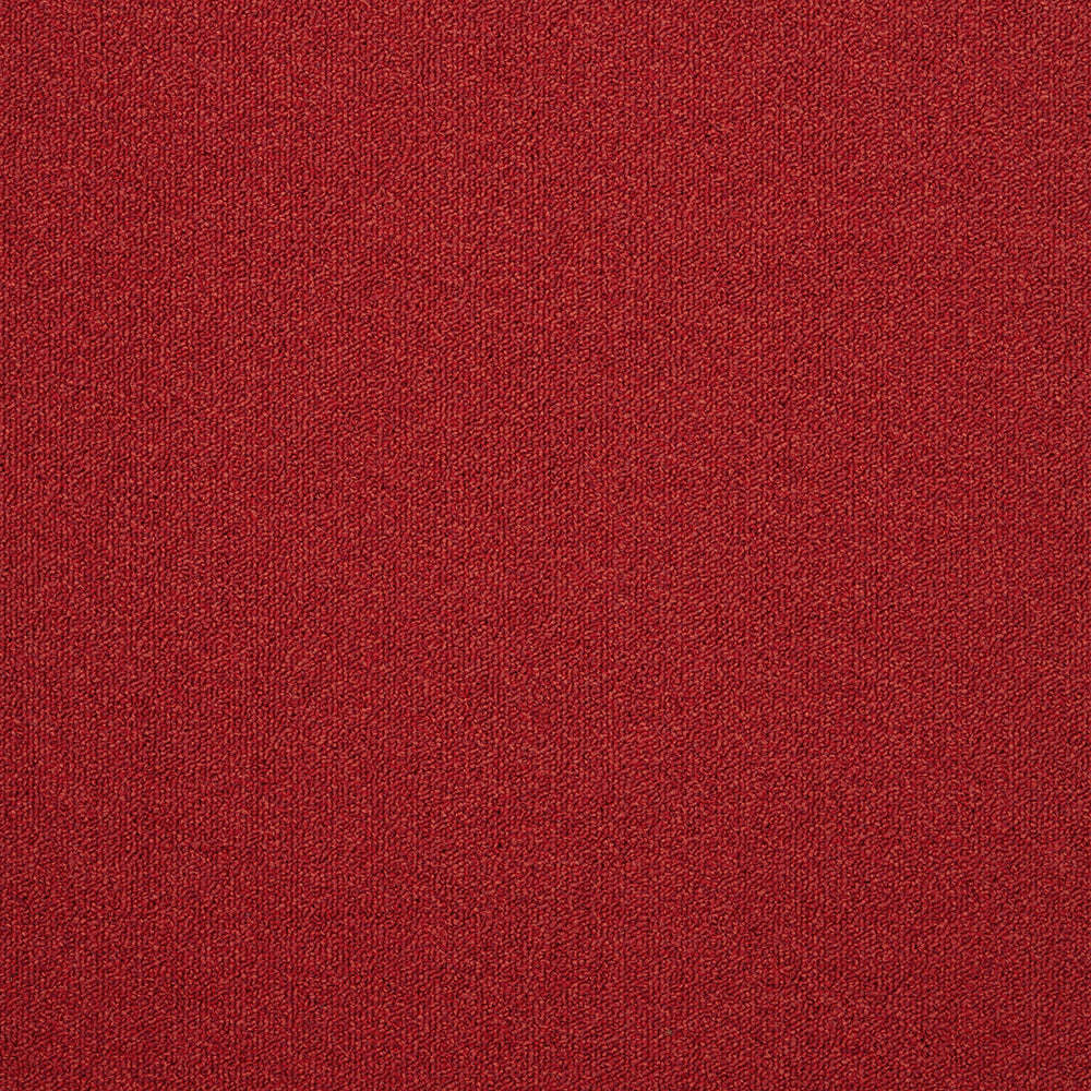 The Floor Hub Expression 500mm x 500mm Carpet Tile