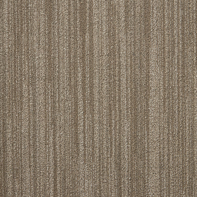 The Floor Hub Humbug 500mm x 500mm Carpet Tile