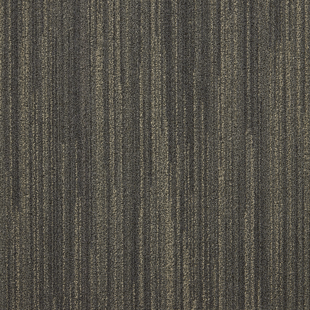 The Floor Hub Humbug 500mm x 500mm Carpet Tile
