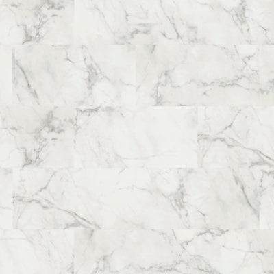Palio Trade by Karndean Palio Core 307mm x 600mm Vinyl Tile
