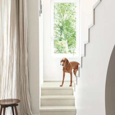 Quick-Step Classic 190mm x 1200mm Laminate Plank