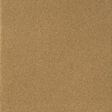 Brintons Velvet 4.57m x RL Carpet Roll